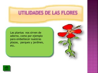 UTILIDADES DE LAS FLORES
Las plantas nos sirven de
adorno, como por ejemplo
para embellecer nuestras
plazas, parques y jardines,
etc.
 