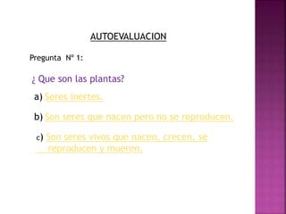 AUTOEVALUACION
Pregunta Nº 1:
¿ Que son las plantas?
a) Seres inertes.
b) Son seres que nacen pero no se reproducen.
c) Son seres vivos que nacen, crecen, se
reproducen y mueren.
 