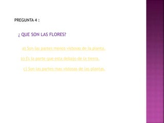 PREGUNTA 4 :
¿ QUE SON LAS FLORES?
a) Son las partes menos vistosas de la planta.
b) Es la parte que esta debajo de la tierra.
c) Son las partes mas vistosas de las plantas.
 