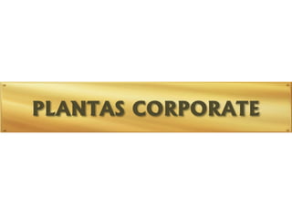Plantas Lead Americas Business Cyrela