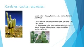 Cardales, cactus, espinales.
Lugar: Salta , Jujuy , Tucumán , San juan,Catamarca
y La Rioja.
Características: es una planta carnosa , perenne , de
color verde .
Las flores sonde color blancas el tamaño de la planta
puede alcanzar 10 m de altura y tiene muchas
agujas espinosa .
 