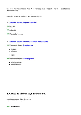 especies distintas unas de otras. Al ser tantas y para conocerlas mejor, se clasifican de
distintos modos.
Nosotros vamos a atender a dos clasificaciones:
1. Clases de plantas según su tamaño:
Árboles
Arbustos
Plantas herbáceas
2. Clases de plantas según su forma de reproducirse:
Plantas sin flores. Criptógamas:
• musgos
• helechos
• algas
Plantas con flores. Fanerógamas:
• gimnospermas
• angiospermas
1. Clases de plantas según su tamaño.
Hay tres grandes tipos de plantas
Los árboles.
 