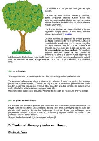 Los árboles son las plantas más grandes que
existen.
Los hay de muy distintas formas y tamaños,
desde pequeños árboles frutales hasta las
secuoyas, que son los árboles más grandes, pues
alguna de ellas mide 84 metros de altura y tienen
más de 3500 años.
Los árboles también se diferencian de los demás
vegetales porque tienen un sólo tallo, llamado
tronco, que es duro y leñoso.
Un gran número de especies de árboles pierden
las hojas con la llegada del frío invernal. Lo hacen
para defenderse del frío y que no se les congelen
las hojas con las heladas. Con la primavera, le
brotarán nuevas hojas por todas sus ramas. Les
llamamos árboles de hoja caduca. Por nombrar
algunos ejemplos, tienen la hoja caduca el
almendro, el olmo y el abedul. Otras especies de
árboles no pierden las hojas durante el invierno, sino que las van renovando durante todo el
año. Les llamamos árboles de hoja perenne. Es el caso del pino, el abeto, la encina o el
olivo.
Los arbustos.
Son vegetales más pequeños que los árboles, pero más grandes que las hierbas.
Tienen varios tallos que en algunos arbustos son leñosos. Al igual que los árboles, algunos
pierden las hojas en invierno. También los hay adaptados a distintos tipos de climas. Unos
pueden resistir las heladas del invierno; otros soportan grandes periodos de sequía; otros
están adaptados a vivir en zonas muy calurosas; etc.
Hay numerosas especies de arbustos; Algunos de ellos son los rosales, la jara y la aulaga.
Las plantas herbáceas.
Las hierbas son pequeñas plantas que sobresalen del suelo unos pocos centímetros. La
mayor parte de ellas tienen una vida corta, de uno o dos años. La mayor parte del suelo del
planeta está cubierto de plantas herbáceas silvestres. Otras son cultivadas para
proporcionar alimento a seres humanos o animales y algunas también se cuidan como
plantas de adorno por su belleza.
Son plantas herbáceas el trigo, la amapola o el perejil.
2. Plantas sin flores y plantas con flores.
Plantas sin flores
 