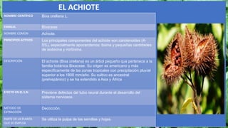 EL ACHIOTE
NOMBRE CIENTÍFICO Bixa orellana L.
FAMILIA Bixaceae
NOMBRE COMÚN Achiote.
PRINCIPIOS ACTIVOS Los principales componentes del achiote son carotenoides (4-
5%), especialmente apocarotenos: bixina y pequeñas cantidades
de isobixina y norbixina.
DESCRIPCIÓN El achiote (Bixa orellana) es un árbol pequeño que pertenece a la
familia botánica Bixaceae. Su origen es americano y más
específicamente de las zonas tropicales con precipitación pluvial
superior a los 1800 mm/año. Su cultivo es ancestral
(prehispánico) y se ha extendido a Asia y África
EFECTO EN EL S.N. Previene defectos del tubo neural durante el desarrollo del
sistema nerviosos.
MÉTODO DE
EXTRACCIÓN
Decocción.
PARTE DE LA PLANTA
QUE SE EMPLEA
Se utiliza la pulpa de las semillas y hojas.
 