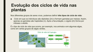 Evolução dos ciclos de vida nas
plantas
Nos diferentes grupos de seres vivos, podemos definir três tipos de ciclo de vida:
■ Ciclo em que os indivíduos são diploides (2n) e formam gametas por meiose. Assim,
apenas os gametas são haploides (n). Após a fecundação, o zigoto (2n) forma por
mitoses o adulto.
É o tipo de ciclo de vida que ocorre, por exemplo, nos animais e em algumas algas,
como em certos grupos de algas verdes.
 