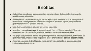 Briófitas
■ As briófitas são plantas que apresentam características de transição do ambiente
aquático para o terrestre.
■ Essas plantas dependem da água para a reprodução sexuada, já que seus gametas
masculinos são flagelados e deslocam-se apenas em meio líquido, chegando aos
gametas femininos, que são imóveis.
■ Nos diversos grupos de plantas terrestres, o gameta
■ feminino, chamado oosfera, é sempre imóvel. Nas briófitas e nas pteridófitas, os
gametas masculinos são flagelados e recebem o nome de anterozoides.
■ No grupo dos pinheiros dentro das gimnospermas e nas angiospermas, entretanto, os
gametas masculinos não são flagelados e são chamados de células espermáticas.
■ Algumas espécies de briófitas são muito sensíveis à poluição, e a ausência delas
indica má qualidade do ar.
 