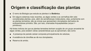 Origem e classificação das plantas
■ O ramo da Biologia que estuda as plantas é a Botânica.
■ Em alguns sistemas mais recentes, as algas verdes e as vermelhas têm sido
consideradas plantas, pois, além de semelhanças moleculares, elas, juntamente com
as plantas terrestres, são as únicas que apresentam cloroplastos derivados da
endossimbiose primária. São, por isso, chamadas Arqueplastidas (arque =
primitivos).
Há fortes indícios de que as plantas terrestres tenham surgido de um grupo ancestral de
algas verdes, pois existem várias características que as aproximam, tais como
■ A presença de parede celular composta principalmente de celulose,
■ A existência de clorofilas a e b nos cloroplastos,
■ Reserva de amido.
 
