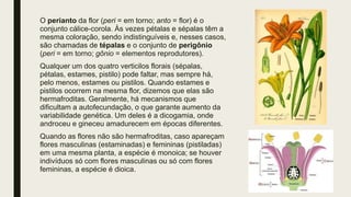 O perianto da flor (peri = em torno; anto = flor) é o
conjunto cálice-corola. Às vezes pétalas e sépalas têm a
mesma coloração, sendo indistinguíveis e, nesses casos,
são chamadas de tépalas e o conjunto de perigônio
(peri = em torno; gônio = elementos reprodutores).
Qualquer um dos quatro verticilos florais (sépalas,
pétalas, estames, pistilo) pode faltar, mas sempre há,
pelo menos, estames ou pistilos. Quando estames e
pistilos ocorrem na mesma flor, dizemos que elas são
hermafroditas. Geralmente, há mecanismos que
dificultam a autofecundação, o que garante aumento da
variabilidade genética. Um deles é a dicogamia, onde
androceu e gineceu amadurecem em épocas diferentes.
Quando as flores não são hermafroditas, caso apareçam
flores masculinas (estaminadas) e femininas (pistiladas)
em uma mesma planta, a espécie é monoica; se houver
indivíduos só com flores masculinas ou só com flores
femininas, a espécie é dioica.
 