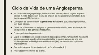 Ciclo de Vida de uma Angiosperma
■ No óvulo há o megasporângio, onde ocorrerá meiose, dando origem a quatro
células n. Três degeneram e uma dá origem ao megásporo funcional (n). Este
forma o gametófito feminino.
■ Cada grão de pólen contém o gametófito masculino, que, nas angiospermas,
tem duas células.
■ Grãos de pólen caem no estigma: a germinação tem início, com a formação do
tubo polínico e dos gametas masculinos.
■ O tubo polínico chega ao óvulo.
■ Dupla fecundação: processo exclusivo das angiospermas. Um gameta masculino
se une à oosfera, dando origem ao zigoto 2n, e o outro gameta se une aos
núcleos polares e dá origem ao endosperma (3n), tecido nutritivo típico das
angiospermas.
■ Semente (desenvolvimento do óvulo após a fecundação).
■ Fruto (desenvolvimento do ovário).
 
