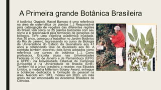 A Primeira grande Botânica Brasileira
A botânica Graziela Maciel Barroso é uma referência
na área de sistemática de plantas [...] Responsável
pela catalogação de vegetais das diferentes regiões
do Brasil, tem cerca de 25 plantas batizadas com seu
nome e é responsável pela formação de gerações de
biólogos. Teve uma trajetória acadêmica inusitada.
Aos 30 anos, começou a trabalhar no Jardim Botânico
do Rio de Janeiro, ingressando no curso de Biologia
da Universidade do Estado da Guanabara aos 47
anos e defendendo tese de doutorado aos 60. A
cientista também escreveu dois livros adotados como
referência por cursos de botânica [...]. Como
professora, Graziela atuou nas Universidades
Federais do Rio de Janeiro e de Pernambuco (UFRJ
e UFPE), na Universidade Estadual de Campinas
(Unicamp) e na Universidade de Brasília (UnB).
Também foi a única brasileira a receber, nos Estados
Unidos, a medalha Millenium Botany Award, entregue
a botânicos dedicados à formação de pessoal na
área. Nascida em 1912, morreu em 2003, um mês
antes de ser empossada na Academia Brasileira de
Ciências.
 
