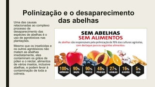 Polinização e o desaparecimento
das abelhasUma das causas
relacionadas ao complexo
processo de
desaparecimento das
espécies de abelhas é o
uso de agrotóxicos nas
plantações.
Mesmo que os inseticidas e
os outros agrotóxicos não
matem as abelhas
imediatamente, eles
contaminam os grãos de
pólen e o néctar, alimentos
de vários insetos, inclusive
abelhas, e podem levar à
contaminação de toda a
colmeia.
 