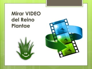 Mirar VIDEO
del Reino
Plantae
 