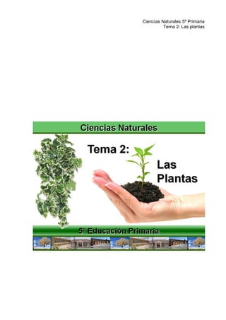 Ciencias Naturales 5º Primaria
Tema 2: Las plantas
 