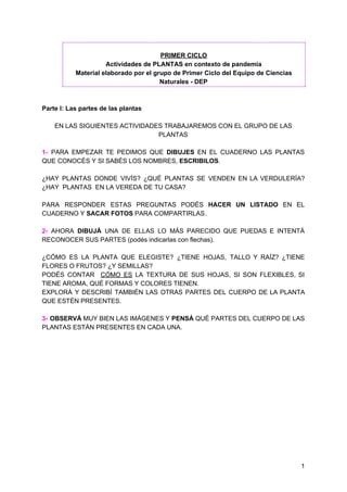 PRIMER CICLO
Actividades de PLANTAS en contexto de pandemia
Material elaborado por el grupo de Primer Ciclo del Equipo de ...