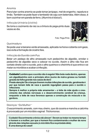 Anemia
Para lutar contra anemia se pode tomar jenipapo, mel de engenho, rapadura e
limão. Também se pode fazer o lambedor de caju com beterraba.Além disso, é
bom cozinhar em panela de ferro. (Alumínio é tóxico!).
Foto: Pega-Pinto
Infecção Urinária (cistite)
Se toma o cozimento da raiz ou a tintura do pega-pinto duas
vezes ao dia.
Queimadura
Se pode usar a banana verde amassada, aplicada na hora e coberta com gaze,
isso evita a formação de cicatriz feia.
Cuidado! Lembre que o ouvido não é esgoto! Não bote nada dentro, apenas
um algodãozinho com o principio ativo (sumo de malva grossa ou hortelã
graúda da folha grande nos casos de dor)!
Preste atenção! Se crianças tiverem muitas infecções de ouvido, geralmente é
por que tomam leite de vaca e quando regurgitam passa para o ouvido e
infecciona.
Sempre é melhor a própria mãe amamentar – o leite da mãe ajuda o cres-
cimento das células nervosas e o desenvolvimento cerebral da criança,
enquanto o leite de vaca favorece apenas a construção do músculo e da
gordura.
12
Infecção do Ouvido com Pus
Botar um pedaço de alho amassado num pedacinho de algodão, enrolar o
pedacinho de algodão seco e colocar no ouvido. Assim o alho não fica em
contato direito com o ouvido, pois o alho queima e o cheirinho é que entra e vai
matar os micróbios e acabar a infecção.
Doenças ‘‘Da Mulher’’
O escorrimento amarelo, com mau cheiro, que dá coceira e mancha a calcinha
é provocado por um micróbio vaginal: Trichomonas.
Cuidado! Escorrimento crônico dá câncer! Devem se tratar no mesmo tempo
o homem e a mulher, por que o homem fica contaminando a mulher de novo
através das relações sexuais (o micróbio fica na próstata dele).
É uma doença do casal!
 