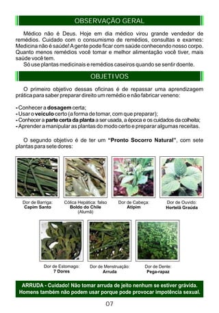 Médico não é Deus. Hoje em dia médico virou grande vendedor de
remédios. Cuidado com o consumismo de remédios, consultas e exames:
Medicina não é saúde!Agente pode ficar com saúde conhecendo nosso corpo.
Quanto menos remédios você tomar e melhor alimentação você tiver, mais
saúde você tem.
Só use plantas medicinais e remédios caseiros quando se sentir doente.
O primeiro objetivo dessas oficinas é de repassar uma aprendizagem
prática para saber preparar direito um remédio e não fabricar veneno:
- Conhecer a dosagem certa;
- Usar o veículo certo (a forma de tomar, com que preparar);
- Conhecer a parte certa da planta a ser usada, a época e os cuidados da colheita;
- Aprender a manipular as plantas do modo certo e preparar algumas receitas.
O segundo objetivo é de ter um “Pronto Socorro Natural”, com sete
plantas para sete dores:
ARRUDA - Cuidado! Não tomar arruda de jeito nenhum se estiver grávida.
Homens também não podem usar porque pode provocar impotência sexual.
OBSERVAÇÃO GERAL
OBJETIVOS
07
Dor de Barriga:
Capim Santo
Cólica Hepática: falso
Boldo do Chile
(Alumã)
Dor de Cabeça:
Atipim
Dor de Ouvido:
Hortelã Graúda
Dor de Estomago:
7 Dores
Dor de Menstruação:
Arruda
Dor de Dente:
Pega-rapaz
 