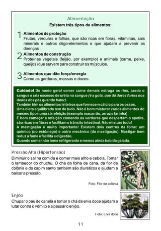 Foto: Flor de colônia
Alimentação
Existem três tipos de alimentos:
Alimentos de proteção
Frutas, verduras e folhas, que são ricas em fibras, vitaminas, sais
minerais e outros oligo-elementos e que ajudam a prevenir as
doenças .
Alimentos de construção
Proteínas vegetais (feijão, por exemplo) e animais (carne, peixe,
queijos) que servem para construir os músculos.
Alimentos que dão força/energia
Como as gorduras, massas e doces.
1
2
3
Cuidado! De modo geral comer carne demais estraga os rins, azeda o
sangue e cria excesso de uréia no sangue (é a gota, que dá dores fortes nos
dedos dos pés quando bater).
Também têm os alimentos leiteiros que fornecem cálcio para os ossos.
Uma dieta equilibrada tem de tudo. Não é bom misturar vários alimentos do
mesmo tipo numa só refeição (exemplo macarrão, arroz e farinha)
É bom começar a refeição comendo as verduras que despertam o apetite,
são ricas em fibras e facilitam o trânsito intestinal. Não misture tudo!
A mastigação é muito importante! Existem dois centros da fome: um
químico (no estômago) e outro mecânico (da mastigação). Mastigar bem
reduz a fome e facilita a digestão.
Quando comer não tome refrigerante e menos ainda bebida gelada.
Pressão Alta (Hipertensão)
Diminuir o sal na comida e comer mais alho e cebola. Tomar
o lambedor do chuchu. O chá da folha de cana, da flor de
colônia e do capim santo também são diuréticos e ajudam a
baixar a pressão.
Enjôo
Chupar o pau de canela e tomar o chá da erva doce ajudam a
lutar contra o vômito e a passar o enjôo.
Foto: Erva doce
11
 