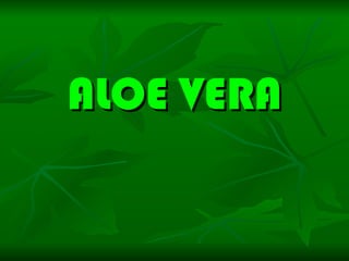 ALOE VERA 