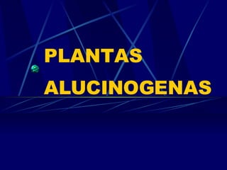 PLANTAS ALUCINOGENAS 