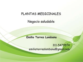 PLANTAS MEDICINALESNegocio saludable Emilio Torres Lombana 311-5479574 emiliotorreslombana@gmail.com 