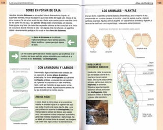 Plantas - Atlas de Botanica. Conociendo mejor a la naturaleza pdf | PDF