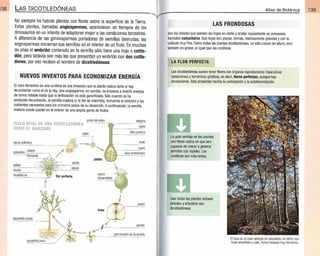Plantas - Atlas de Botanica. Conociendo mejor a la naturaleza pdf | PDF
