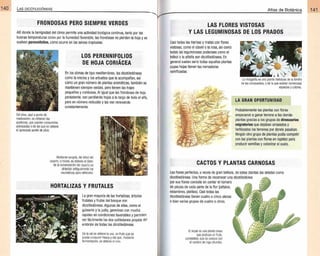 Plantas - Atlas de Botanica. Conociendo mejor a la naturaleza pdf | PDF