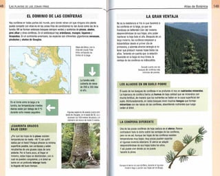 Plantas - Atlas de Botanica. Conociendo mejor a la naturaleza pdf | PDF