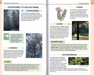 Plantas - Atlas de Botanica. Conociendo mejor a la naturaleza pdf | PDF