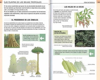 Plantas - Atlas de Botanica. Conociendo mejor a la naturaleza pdf | PDF