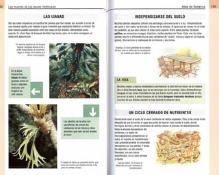 Plantas - Atlas de Botanica. Conociendo mejor a la naturaleza pdf | PDF