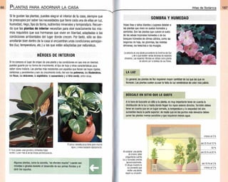 Plantas - Atlas de Botanica. Conociendo mejor a la naturaleza pdf | PDF