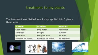 treatment to my plants
The treatment was divided into 4 steps applied into 3 plants,
these were:
plant #1

plant #2

plant #3

Clean Water

Dirty Water

Rain Water

24hrs light

No light

Sunshine

Quiet Music

Not-quiet Music

No Music

Radiation for 15 min.

Radiation for 30 min.

No Radiation

 
