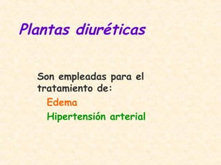 Plantas diuréticas
Son empleadas para el
tratamiento de:
Edema
Hipertensión arterial
 