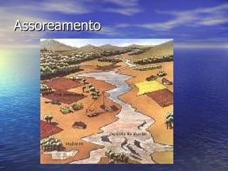Assoreamento 