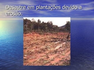 Desastre em plantações devido a  erosão. 