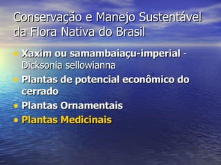 Conservação e Manejo Sustentável da Flora Nativa do Brasil  Xaxim ou samambaiaçu-imperial  - Dicksonia sellowianna  Plantas de potencial econômico do cerrado   Plantas Ornamentais   Plantas Medicinais 