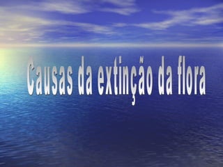 Causas da extinção da flora 
