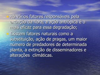 Há vários fatores responsáveis pela extinção da flora, a ação antrópica é o mais eficaz para essa degradação; Existem fatores naturais como a substituição, ação de pragas, um maior número de predadores de determinada planta, a extinção de disseminadores e alterações  climáticas. 