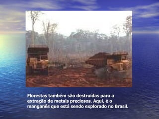 Florestas também são destruídas para a extração de metais preciosos. Aqui, é o manganês que está sendo explorado no Brasil.   