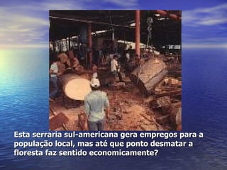 Esta serraria sul-americana gera empregos para a população local, mas até que ponto desmatar a floresta faz sentido economicamente? 