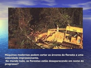 Máquinas modernas podem cortar as árvores da floresta a uma velocidade impressionante.  No mundo todo, as florestas estão desaparecendo em nome do progresso? 