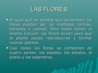 LAS FLORESLAS FLORES
 Al igual que las plantas que las forman, lasAl igual que las plantas que las forman, las
flores pueden ser de múltiples formas,flores pueden ser de múltiples formas,
tamaños y colores. Pero todas tienen latamaños y colores. Pero todas tienen la
misma función: las flores sirven para quemisma función: las flores sirven para que
la planta pueda reproducirse y formarla planta pueda reproducirse y formar
nuevas plantas.nuevas plantas.
 Casi todas las flores se componen deCasi todas las flores se componen de
cuatro partes: los sépalos, los pétalos, elcuatro partes: los sépalos, los pétalos, el
pistilo y los estambres.pistilo y los estambres.
 
