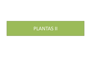 PLANTAS II
 