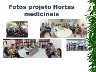 Fotos projeto Hortas
medicinais
 