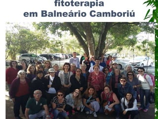 fitoterapia
em Balneário Camboriú
 