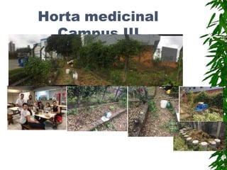 Horta medicinal
Campus III
 
