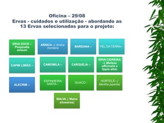 Oficina – 29/08
Ervas - cuidados e utilização - abordando as
13 Ervas selecionadas para o projeto:
ALECRIM –
ARNICA –( Arnica
montana BARDANA – FEL DA TERRA–
CAPIM LIMÃO – CAMOMILA – CARQUEJA –
ERVA CIDREIRA
–( Melissa
officinalis e
lippia alba)
ERVA DOCE –
Pimpinella
anisum
ESPINHEIRA
SANTA– GUACO -
HORTELÃ –(
Mentha piperita)
MALVA. ( Malva
silvestres)
 