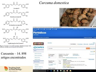 © 2013 American Society of Plant
Biologists
Curcuma domestica
Curcumin – 14. 898
artigos encontrados
 