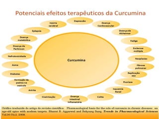 © 2013 American Society of Plant
Biologists
 